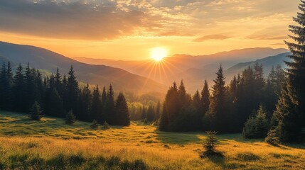 Sunrise Over Misty Mountain Range with Golden Meadow