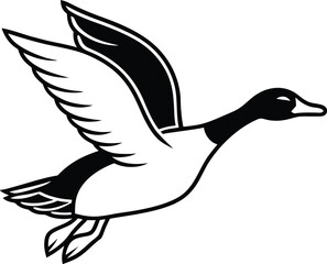 duck isolated on white background