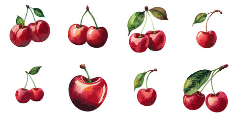 Multiple vector illustration cherries, watercolor style