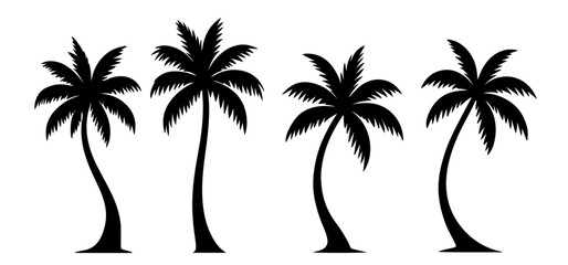Coconut tree silhouette