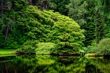 2025-06-04 OUTDOOR SCENE WITH BRIGHT GREEN FOLIAGE AND TREES NEXT TO A LAKE WITH A NICE REFLECTION IN THE WATER IN THE PACIFIC NORTHWEST