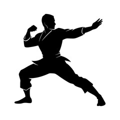 Silhouette of a martial artist in a fighting stance with outstretched arms