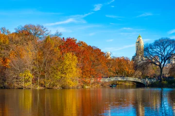 Autumn landscape nature. People rowing a boat in Central Park pond. Central Park in autumn with colorful fall trees. Autumn nature. New York City Central Park with boat in lake. Gapstow bridge