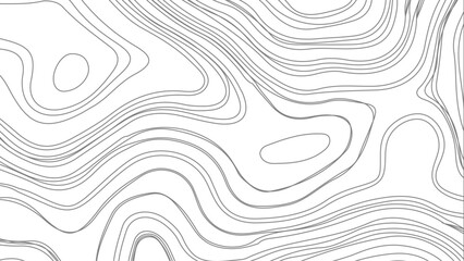 Topographic contour map. similarcartography illustration.  Business concept. Fish Fillet Texture, Salmon fillet texture, fish pattern. paper texture
