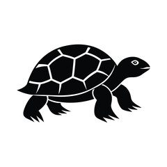 Turtle Walking on Land Animal Icon Vector Illustration