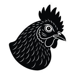 hen head on the white background.