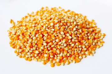 Yellow raw unpopped popcorn kernels