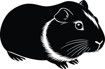 guinea pig vector