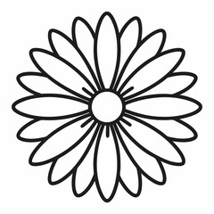 white flower isolated on black