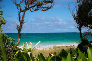 Hawaii ocean views with turquoise waters, waves, sand and  sunshine for a beach vacation!