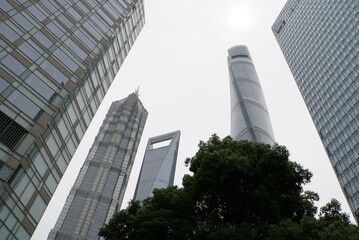Skyscrapers in Shanghai - China