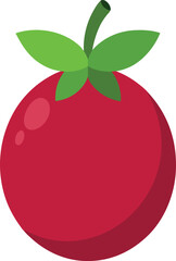 camu camu berry  vector illustration on white 