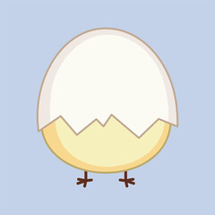 little chick with shell in isolated background