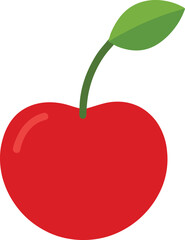 cherry pit s vector on white background   