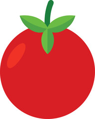 cherry tomatovector on white background  .eps