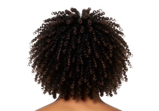 Back view of curly-haired man, isolated on white or transparent background. PNG