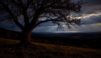 night view of a tree and distant horizon