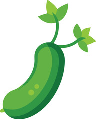 cucumber vine vector on white background