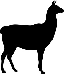 Elegant black silhouette illustration of a standing llama viewed from the side perfect for animal themes design projects or creative graphic