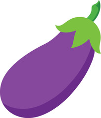 eggplant  vector on white background  .eps