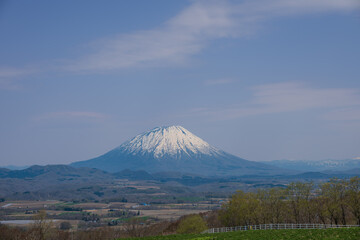 牧場から望む残雪の羊蹄山が聳える風景