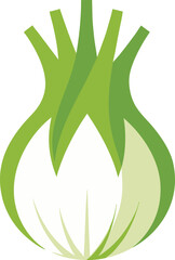 fennel bulb vector on white background  .eps