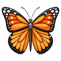 butterfly vector illustration