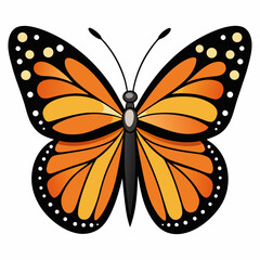 butterfly vector illustration