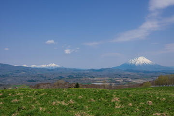 牧場から見渡す残雪のニセコ連峰や羊蹄山の風景