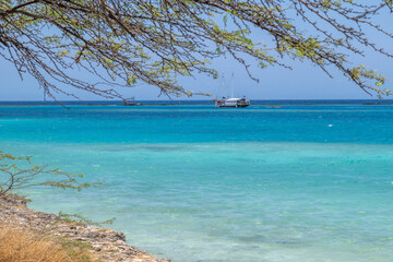Mangle Halto Lagoon coastal seascape Aruba