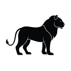 Obraz premium silhouette of a lion