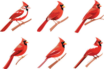 Red northern cardinals bird on branches
