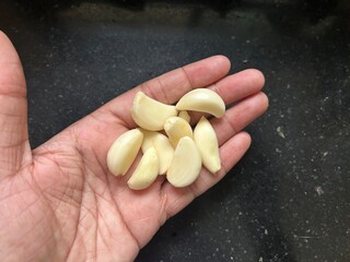 Garlic Cloves on Granite and in Hand – Fresh Indian Cooking Ingredient