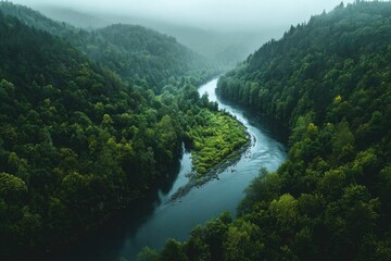 Describe the journey of a river flowing through a forest