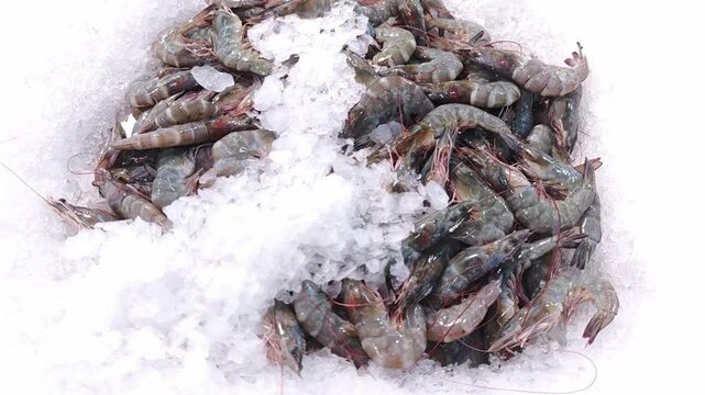 Many fresh shrimp are placed in ice-covered trays to maintain freshness in the seafood market.
