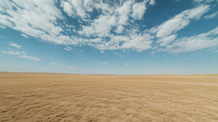 Naklejka premium 青い空