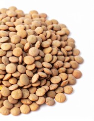 Fototapeta premium Brown Lentils on Isolated White Background – Classic Earthy Legumes with Matte Finish and Full Depth of Field