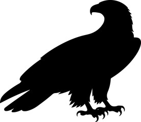 Eagle silhouette vector illustration