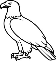 Eagle line art vector illustration