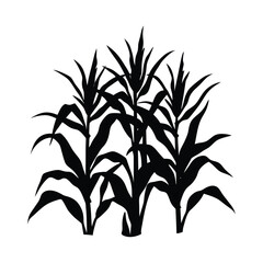 Obraz premium Corn stalk silhouette on white background