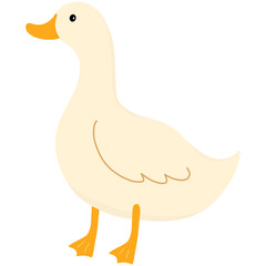 White duck cartoon illustration 