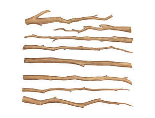 Watercolor tree branches isolated on white background. Hand painted illustrations set, wooden brown dry twig
