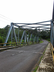 View of the bridge in the hill forest during the day. 