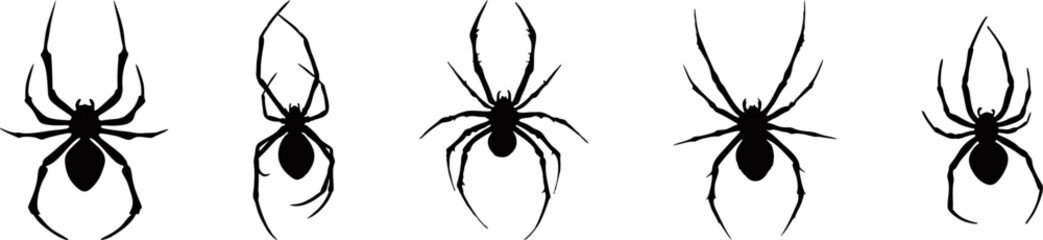 set of spider vector 