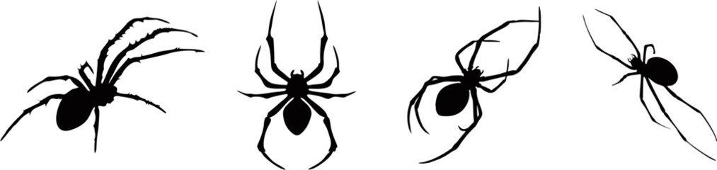 set of spider silhouette