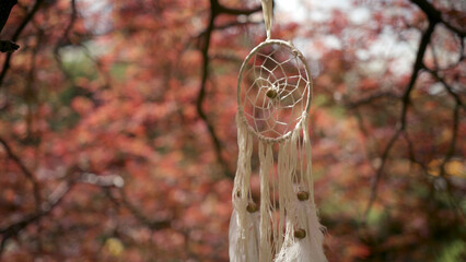 A dream catcher hangs on a red maple branch.