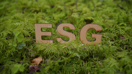 ESG acronym made of wooden letters on forest moss floor.