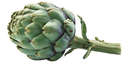 Fototapeta premium Isolated Artichoke on Transparent PNG Background Perfect for Creative Projects and Design Work