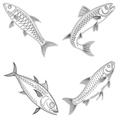 Mackerel set line art and illustrator eps 10
