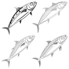 Tuna fish set line art and illustrator eps 10